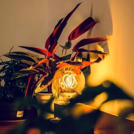 Casa Oscar: Entire Apartment Venice.Mestre Station 외부 사진
