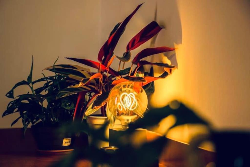 Casa Oscar: Entire Apartment Venice.Mestre Station 외부 사진